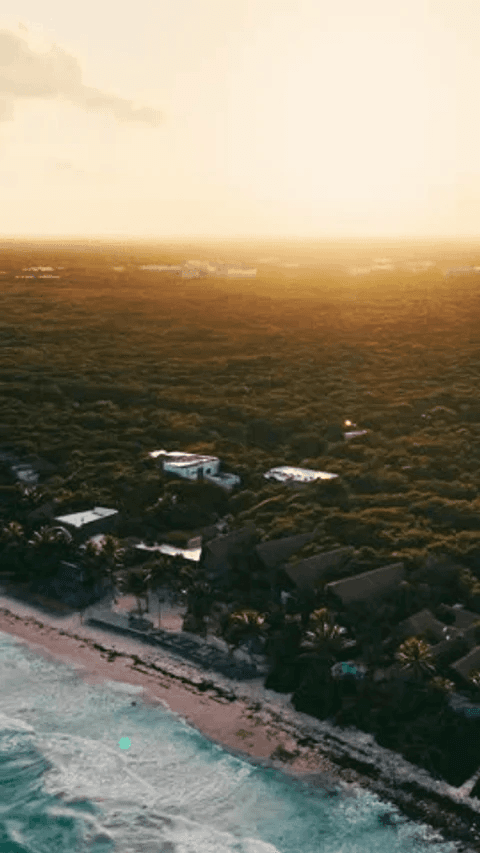 Aerial view at sunrise over jungle meeting the sea, with villas along the shore